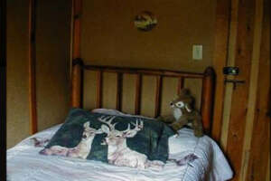 fawn-room-ph1